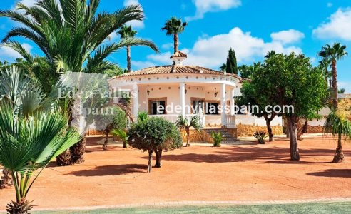 Casa de campo - Obra Nueva - Catral - Catral