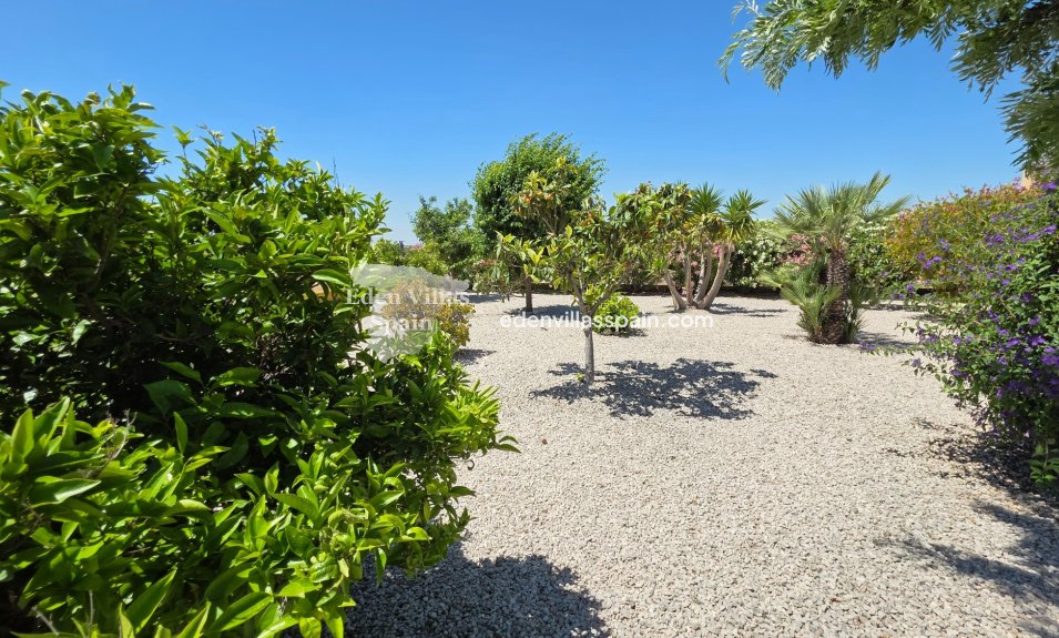 Immobilien Zweiter Hand - Landhaus - Abanilla