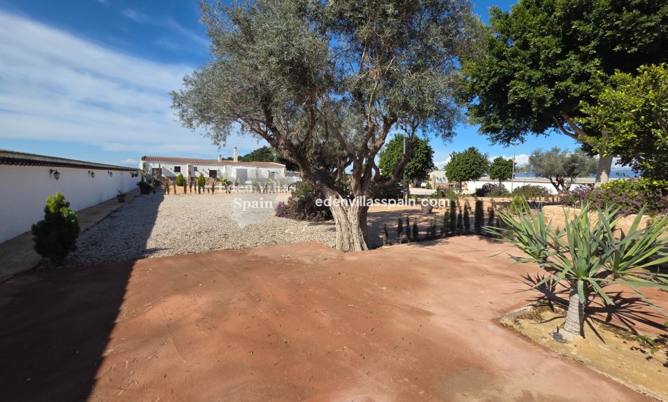 Immobilien Zweiter Hand - Landhaus - San Fulgencio