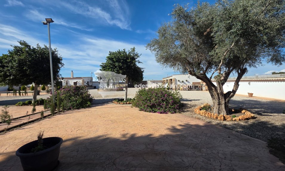 Immobilien Zweiter Hand - Landhaus - San Fulgencio