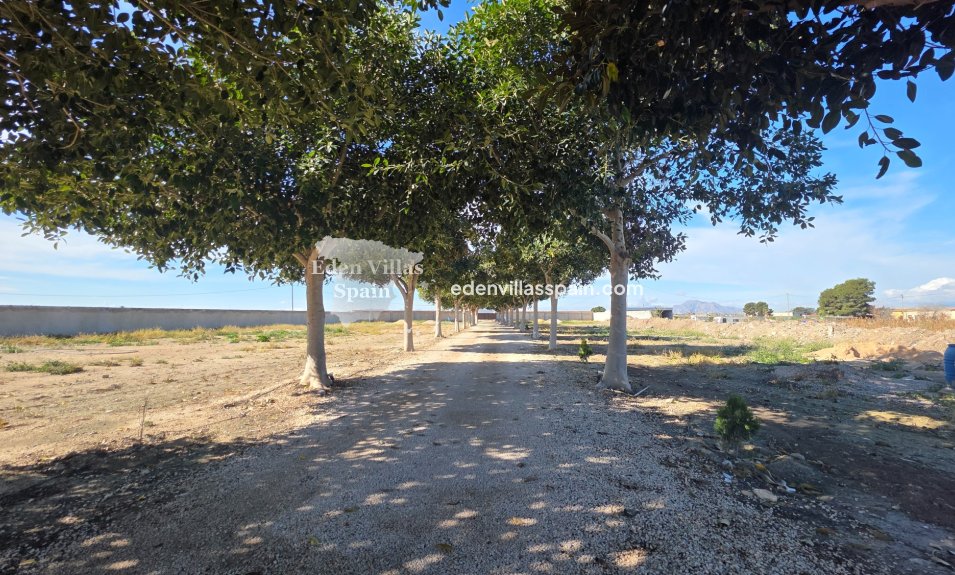 Immobilien Zweiter Hand - Landhaus - San Fulgencio