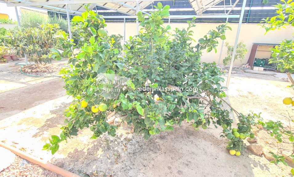 Immobilien Zweiter Hand - Villa an der Küste - La Marina