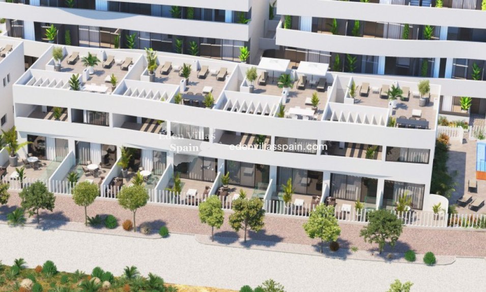 Obra Nueva - Casa de pueblo - Guardamar del Segura