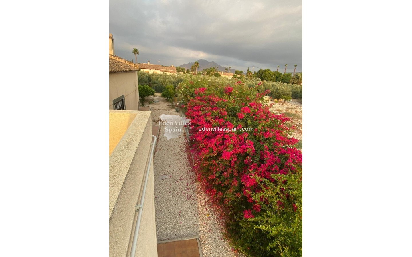 Resale - Country House - Catral