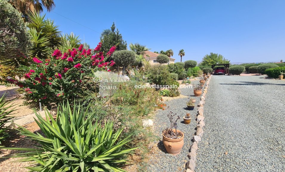 Resale - Country House - Catral