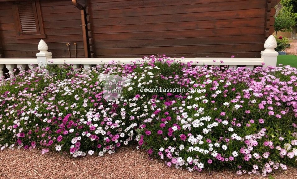 Resale - Country House - Catral