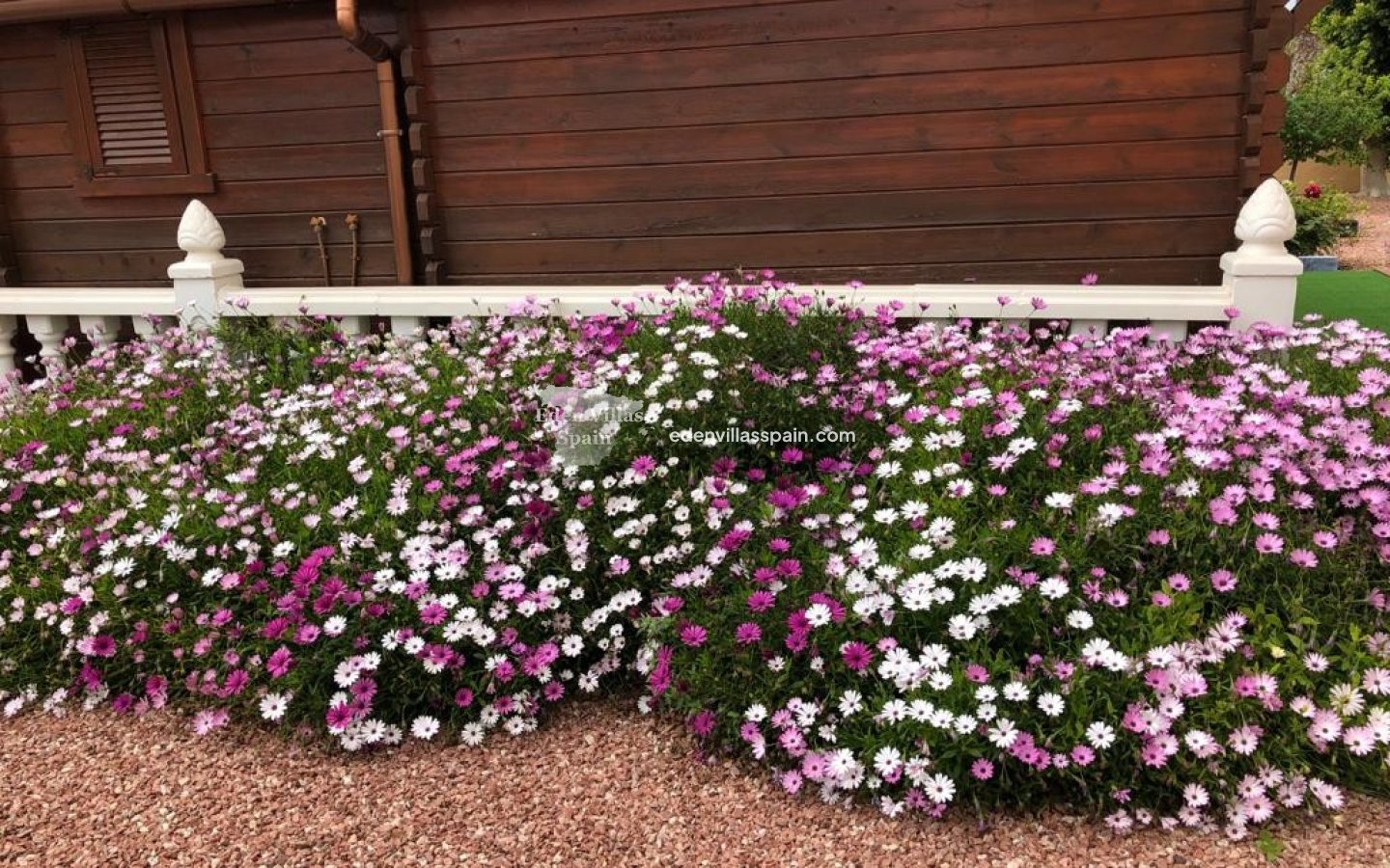 Resale - Country House - Catral