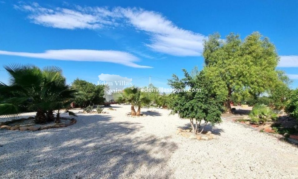 Resale - Country House - Catral