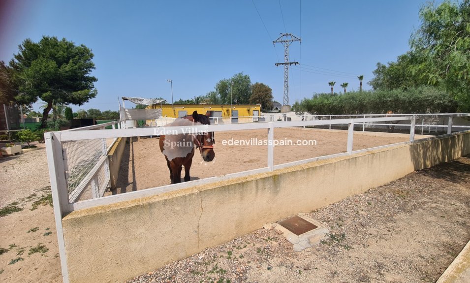 Resale - Country House - La Marina