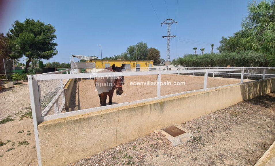 Resale - Country House - La Marina