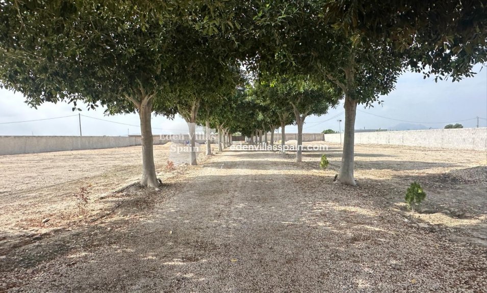 Resale - Country House - San Fulgencio