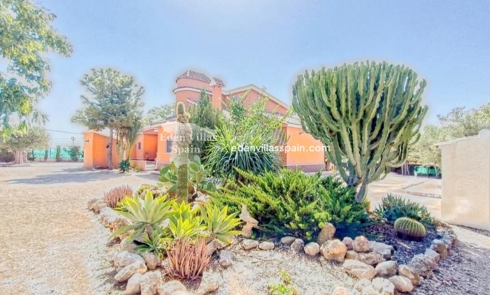 Revente - Maison de campagne - Elche