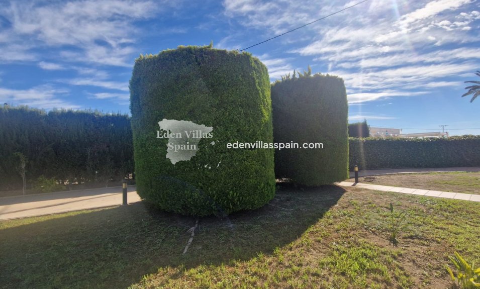 Revente - Maison de campagne - Elche