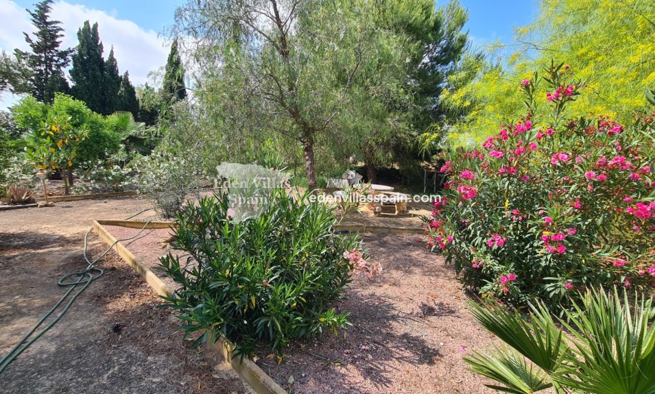 Revente - Maison de campagne - Santa Pola