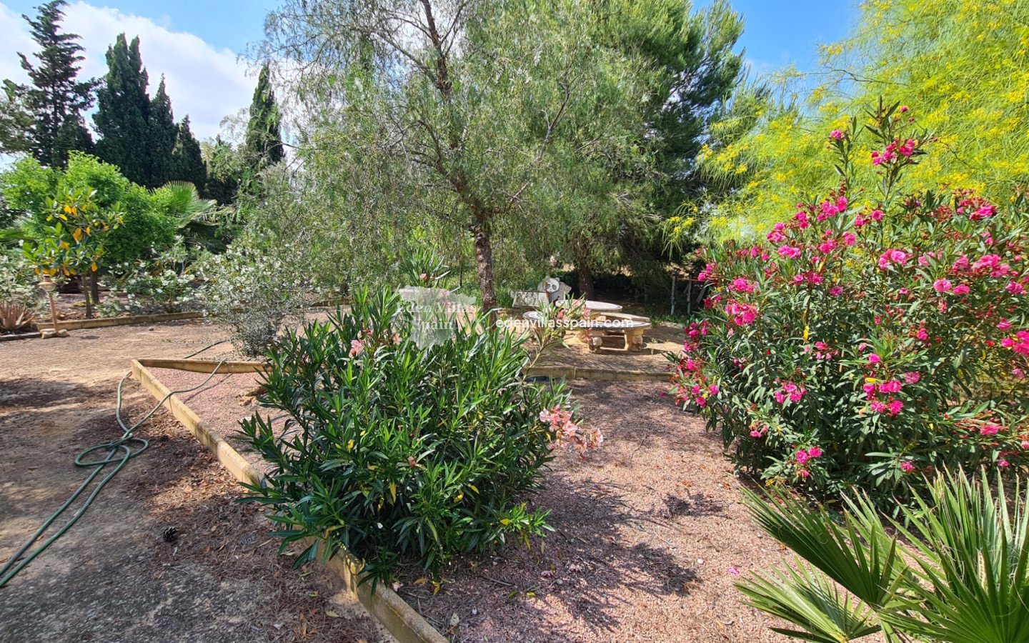 Revente - Maison de campagne - Santa Pola