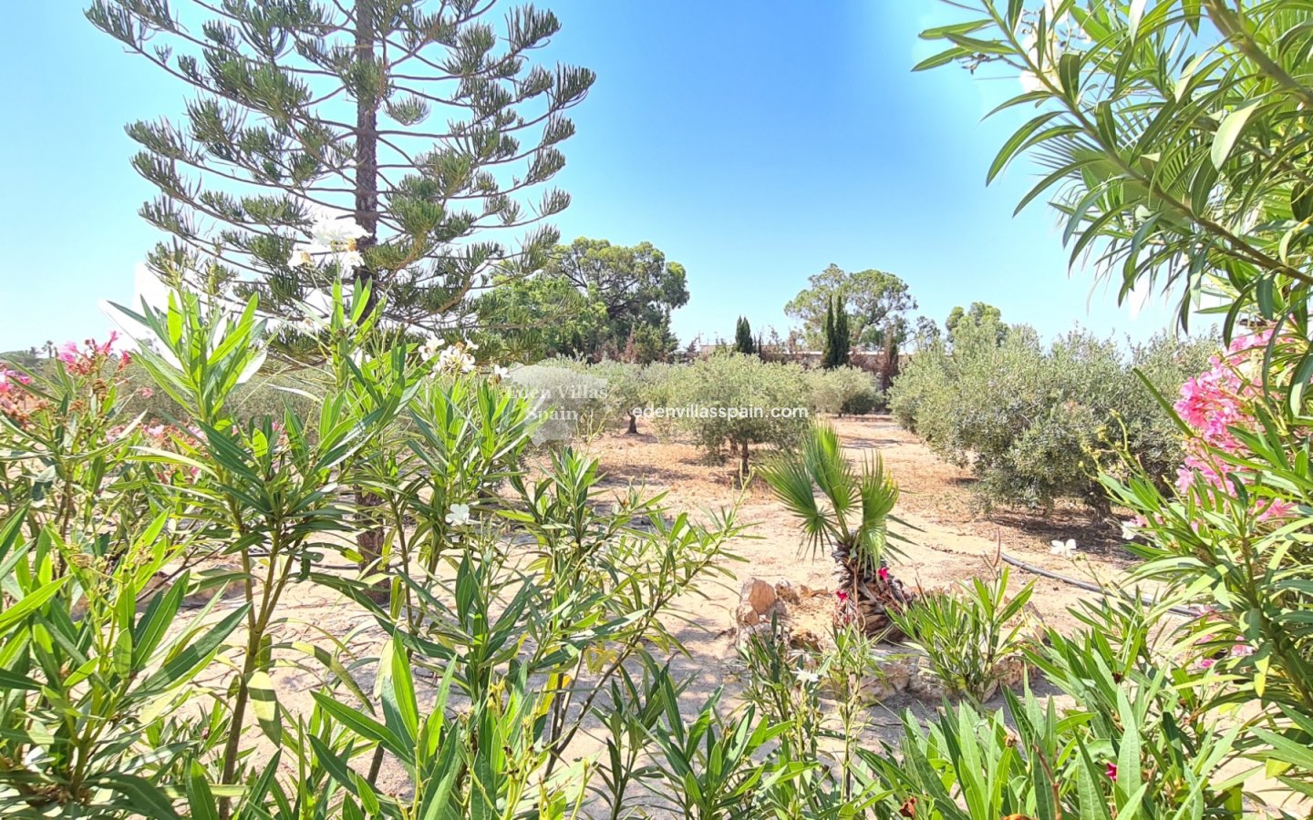 Revente - Maison de campagne - Santa Pola