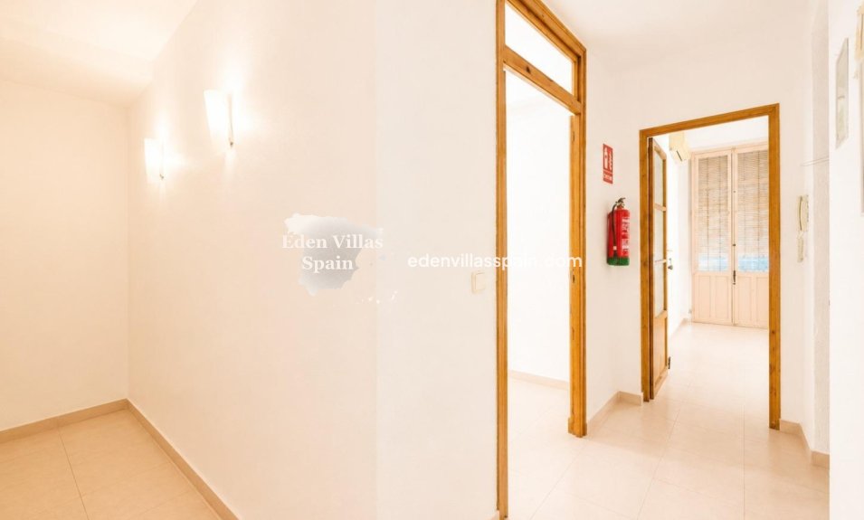 Segunda Mano - Apartamento - Alicante