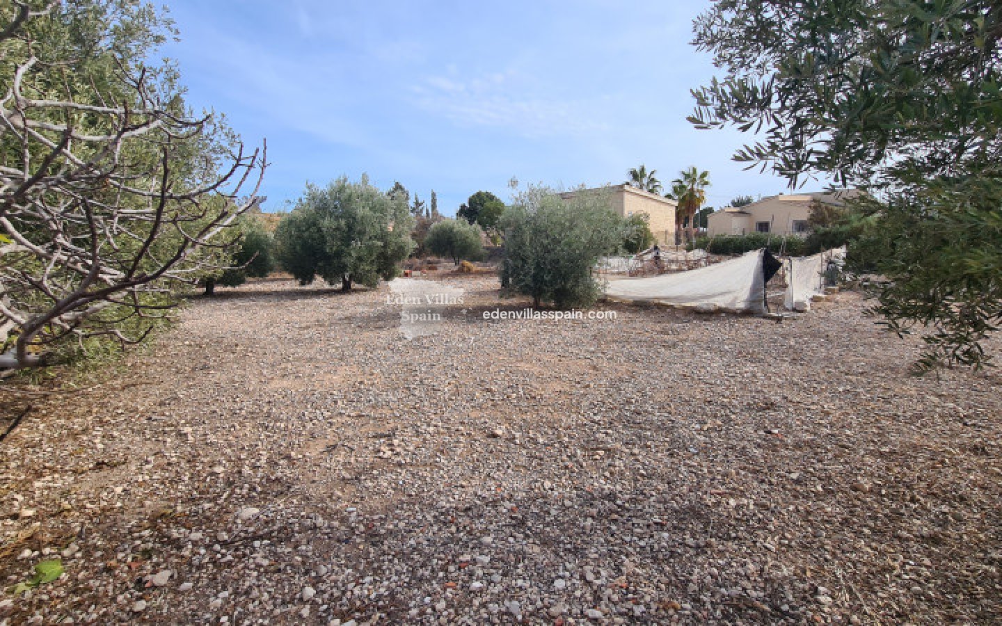 Segunda Mano - Casa de campo - Albatera