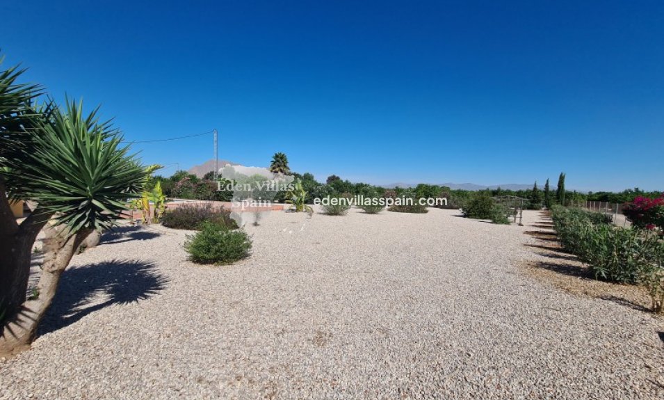 Segunda Mano - Casa de campo - Almoradi