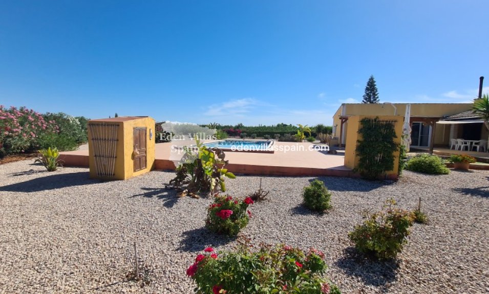 Segunda Mano - Casa de campo - Almoradi