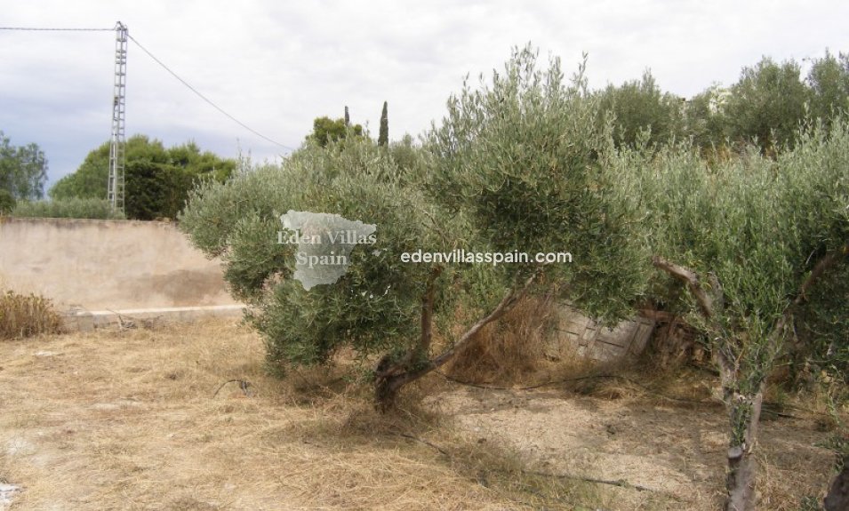 Segunda Mano - Casa de campo - Aspe