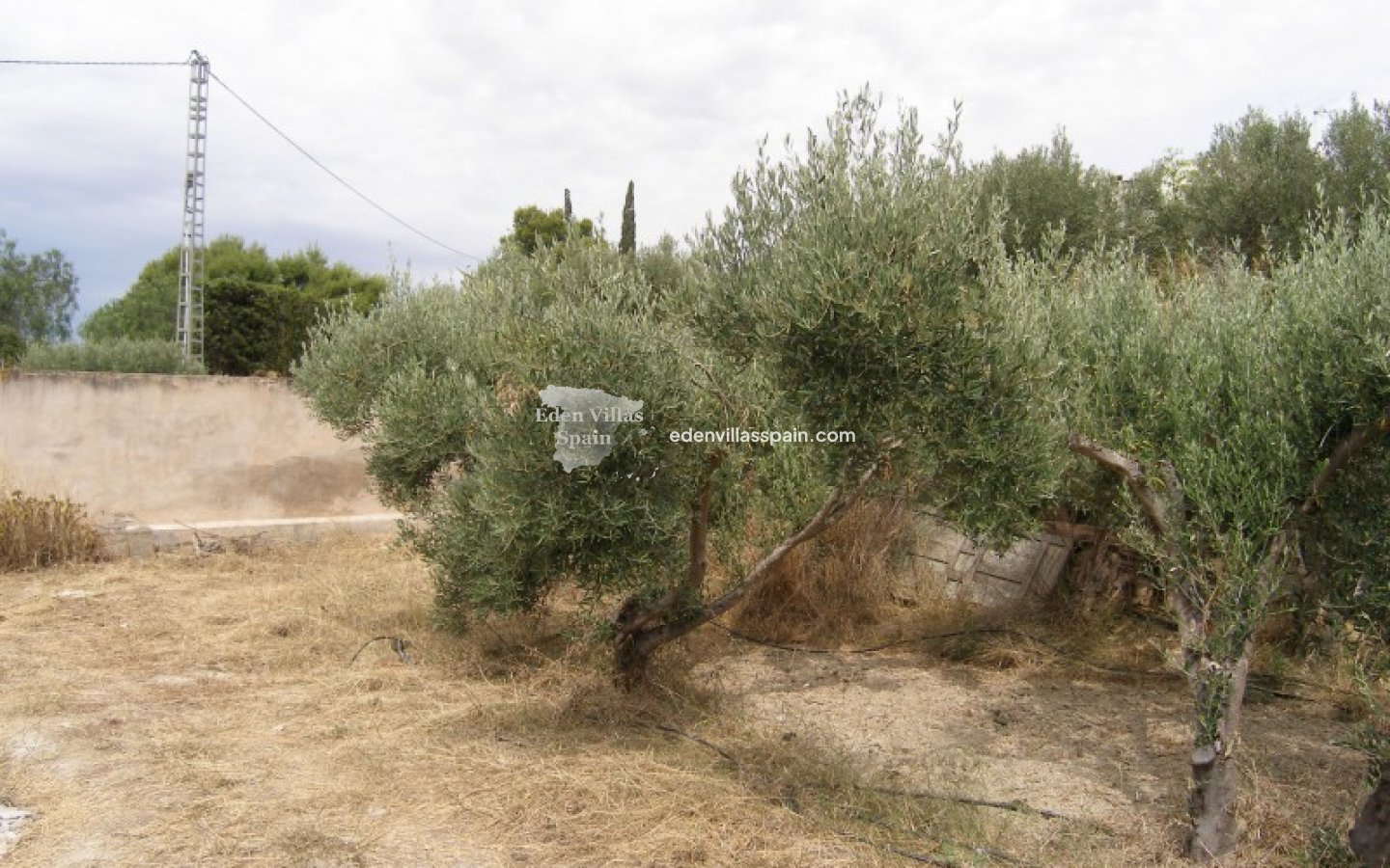 Segunda Mano - Casa de campo - Aspe