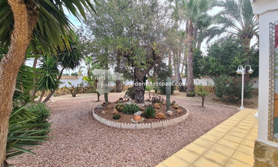 Segunda Mano - Casa de campo - Catral