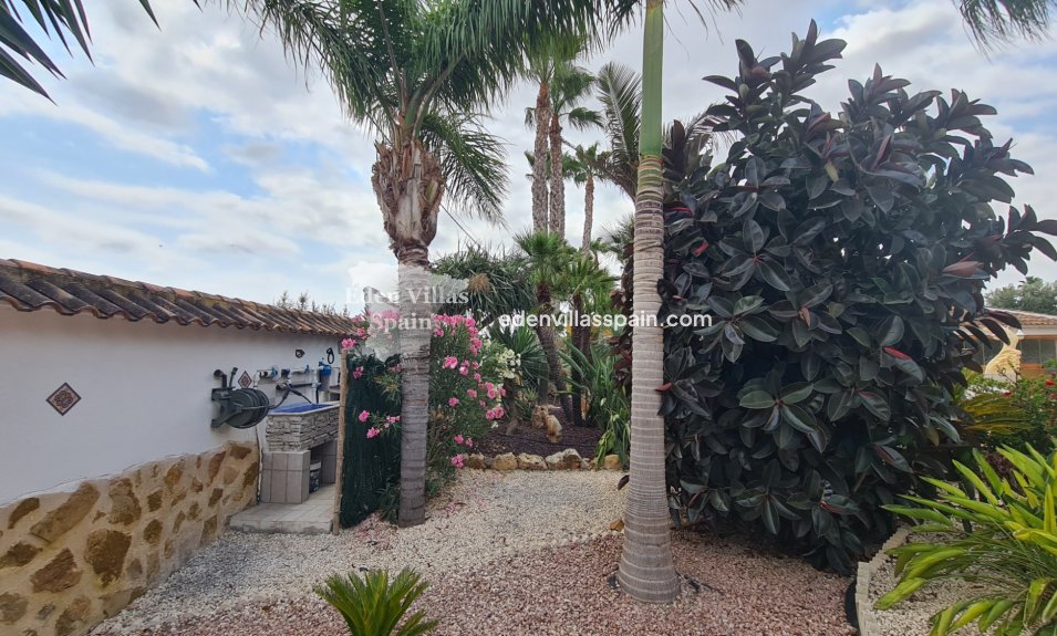 Segunda Mano - Casa de campo - Catral