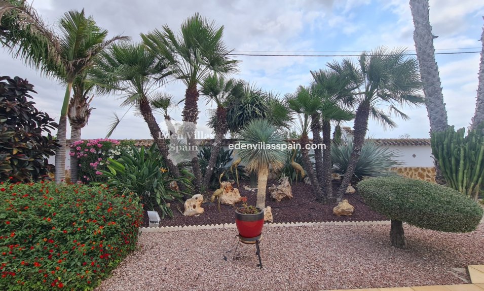 Segunda Mano - Casa de campo - Catral