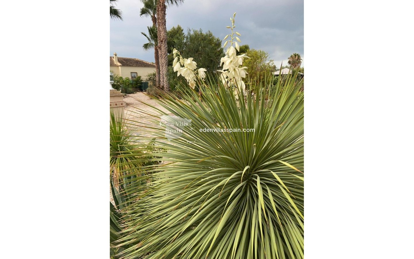 Segunda Mano - Casa de campo - Catral
