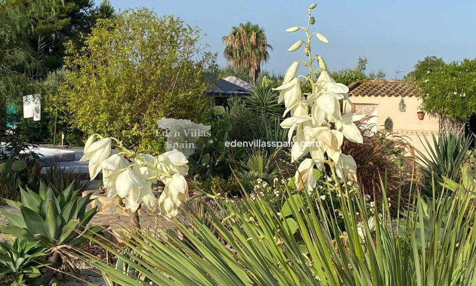 Segunda Mano - Casa de campo - Catral