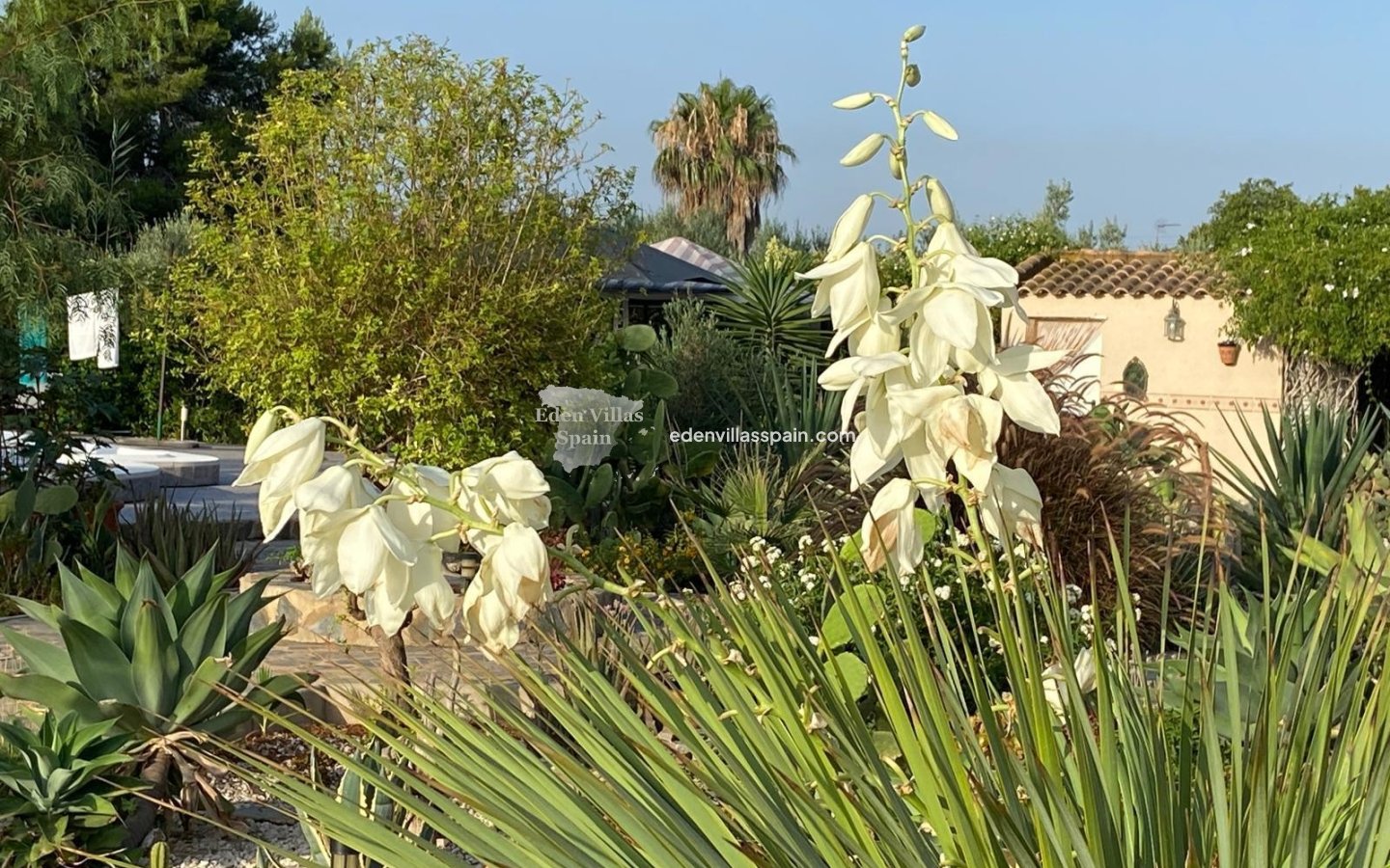 Segunda Mano - Casa de campo - Catral