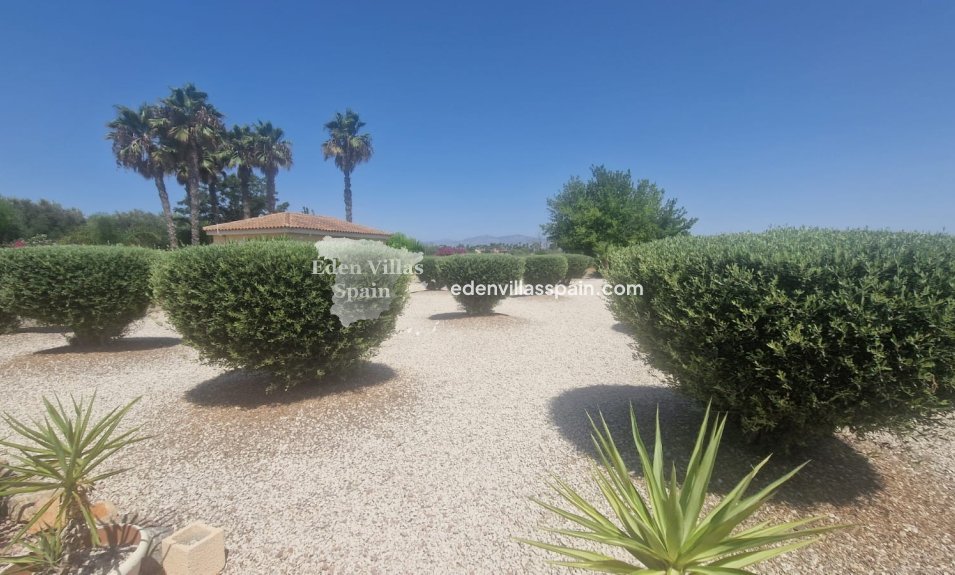 Segunda Mano - Casa de campo - Catral