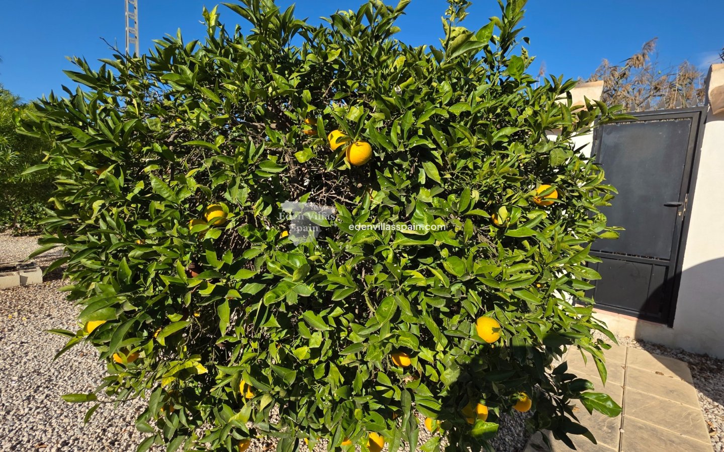 Segunda Mano - Casa de campo - Catral