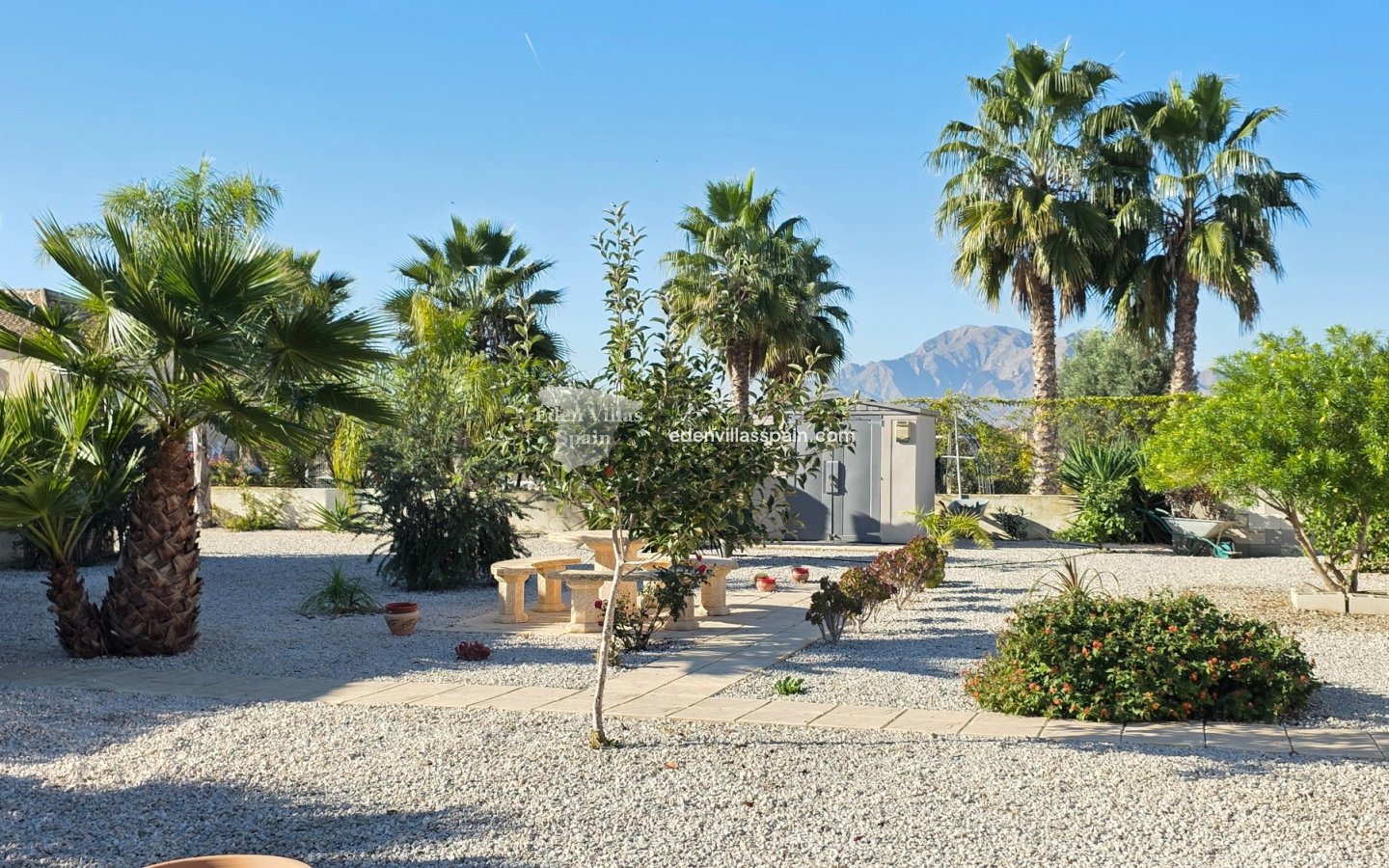 Segunda Mano - Casa de campo - Catral