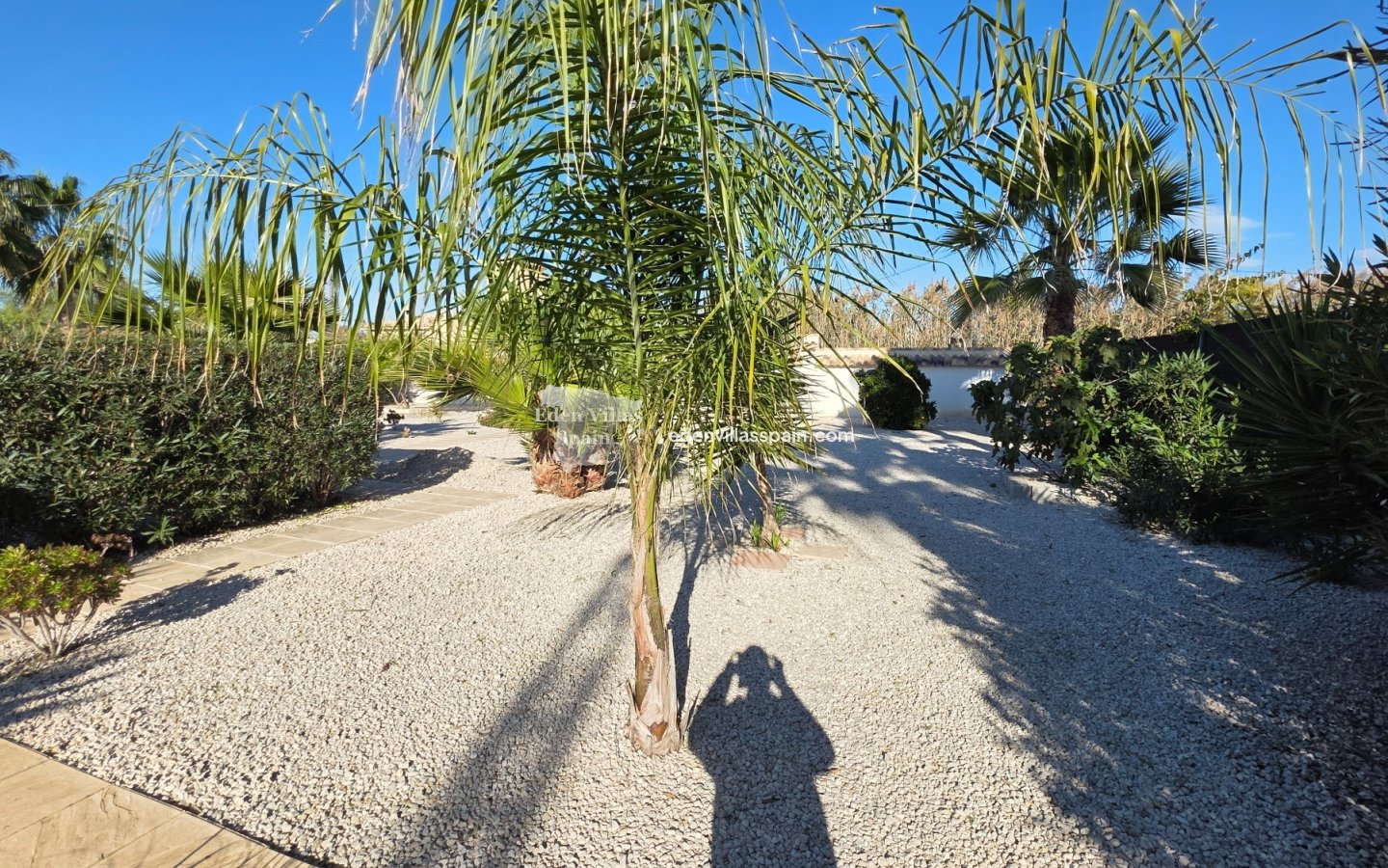 Segunda Mano - Casa de campo - Catral