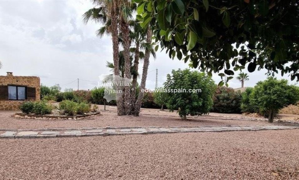 Segunda Mano - Casa de campo - Catral