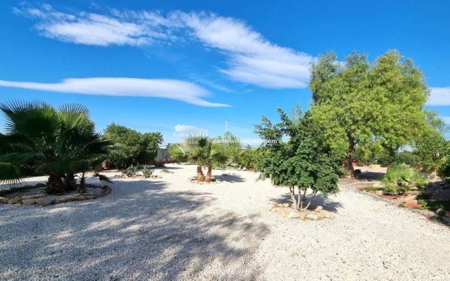 Segunda Mano - Casa de campo - Catral