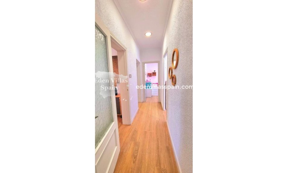 Segunda Mano - Casa de campo - Crevillente