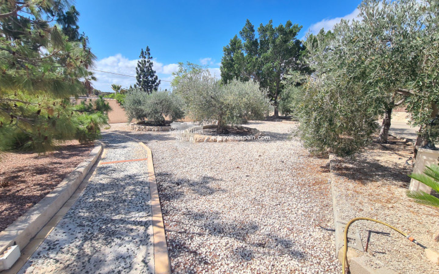 Segunda Mano - Casa de campo - Crevillente