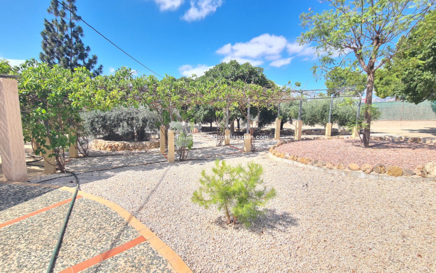 Segunda Mano - Casa de campo - Crevillente