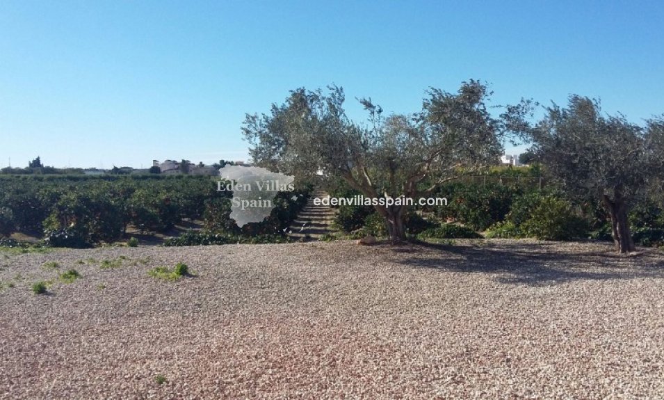 Segunda Mano - Casa de campo - Daya Nueva