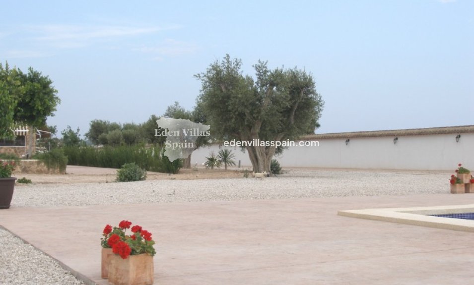 Segunda Mano - Casa de campo - Dolores