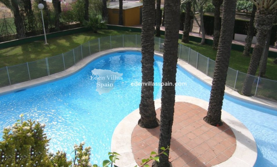 Segunda Mano - Casa de campo - Elche