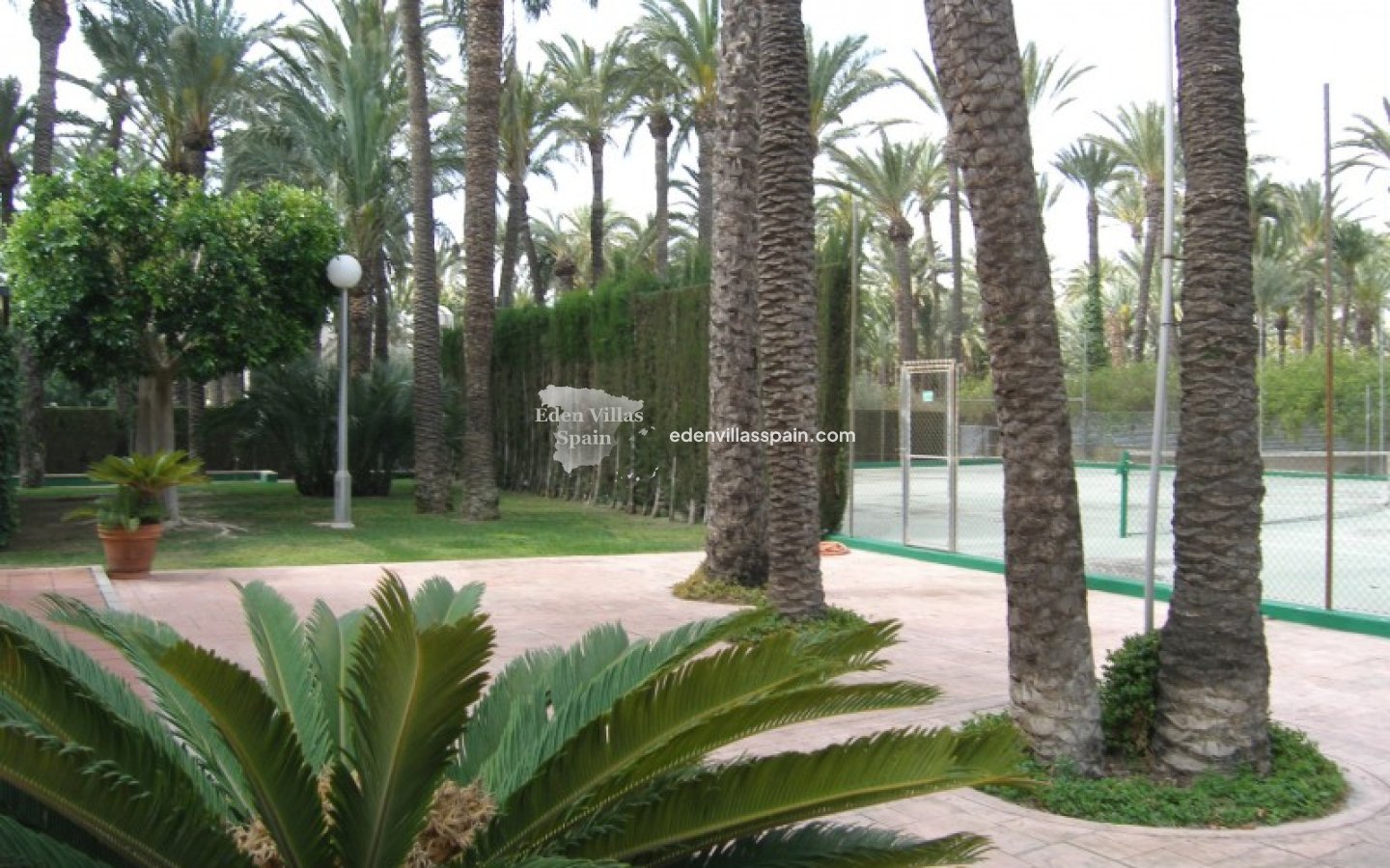 Segunda Mano - Casa de campo - Elche