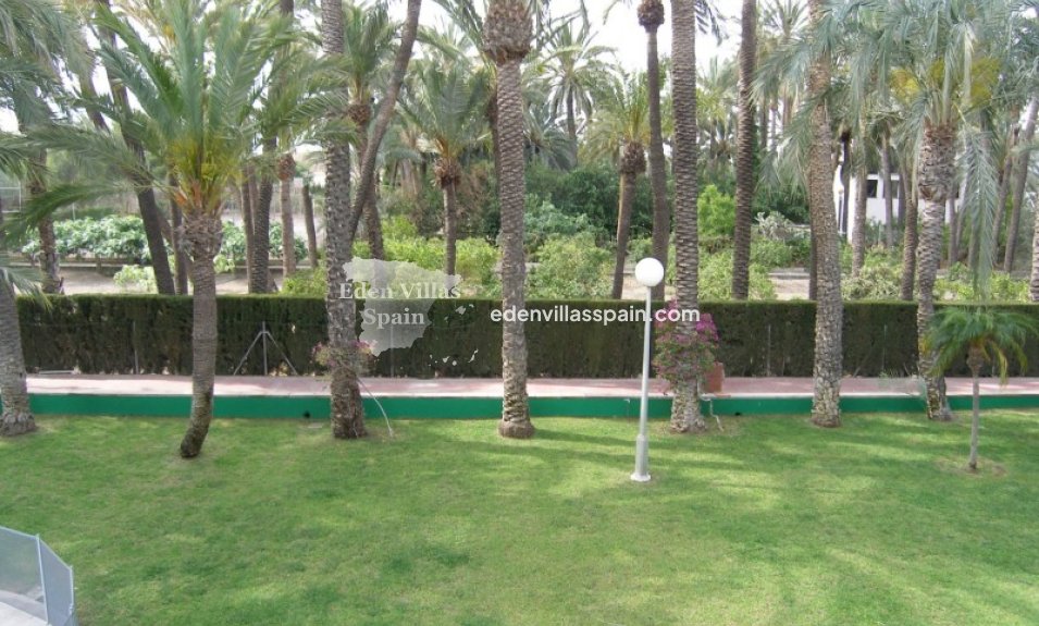 Segunda Mano - Casa de campo - Elche