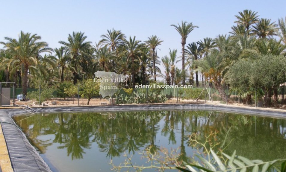 Segunda Mano - Casa de campo - Elche