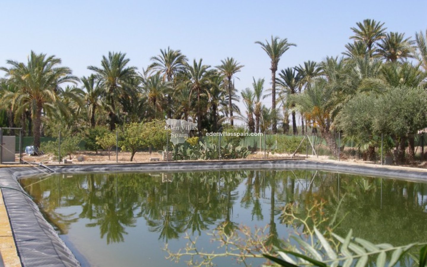 Segunda Mano - Casa de campo - Elche