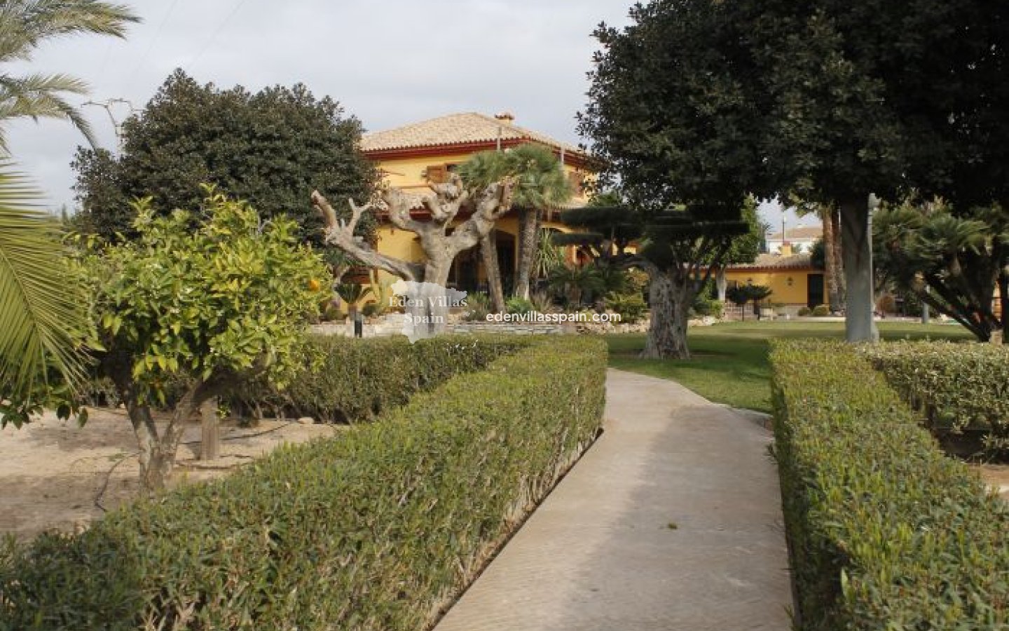 Segunda Mano - Casa de campo - Elche