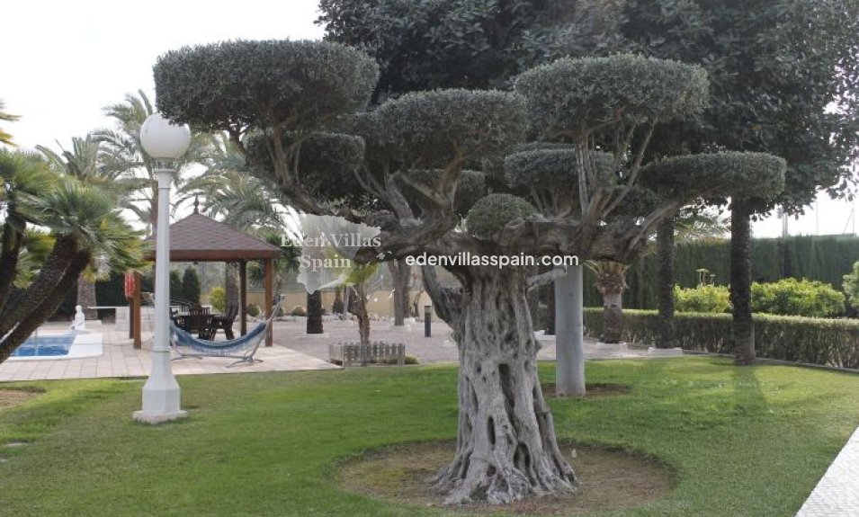 Segunda Mano - Casa de campo - Elche